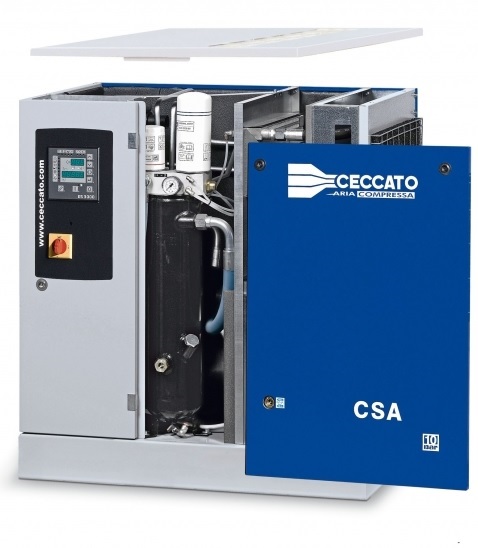 CSA ROZEBRANA CARSTECH NN